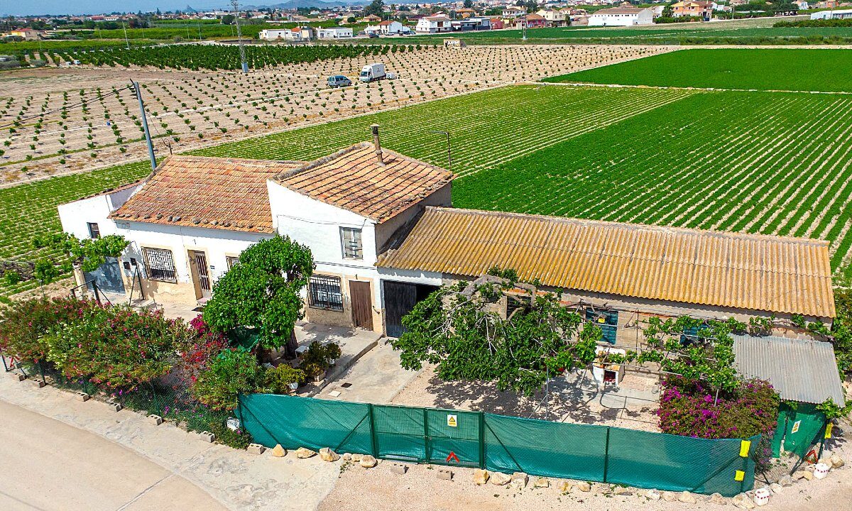 DJI_0038
