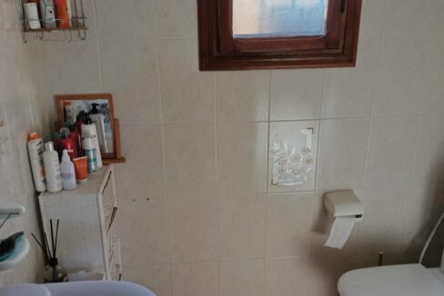 WhatsApp Image 2026-02-24 at 11.39.12