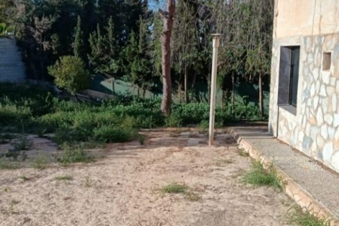 WhatsApp Image 2026-06-23 at 11.56.13 (1)