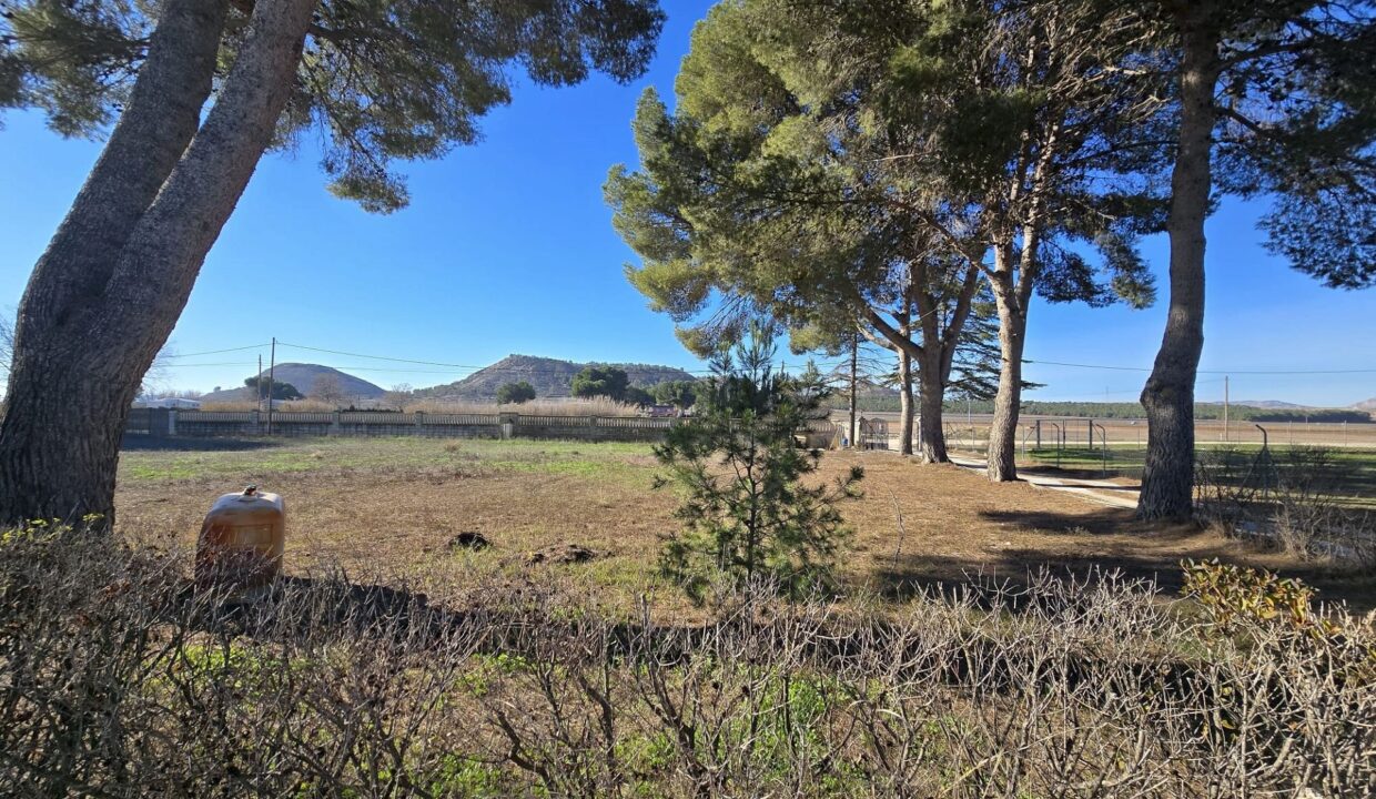 w_whatsapp-image-2026-01-15-at-12.47.13-4-